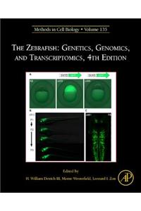 Zebrafish: Genetics, Genomics, and Transcriptomics