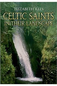 CELTIC SAINTS IN THEIR LANDSCAPE