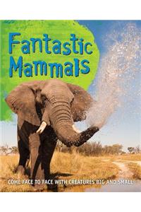 Fast Facts: Fantastic Mammals