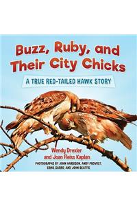 Buzz, Ruby, and Their City Chicks