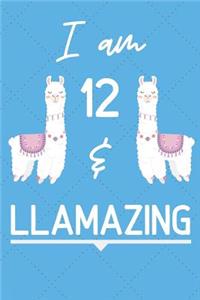 I Am 12 And Llamazing