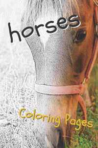 Horses Coloring Pages