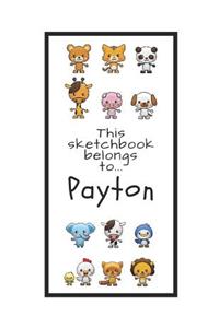 Payton Sketchbook