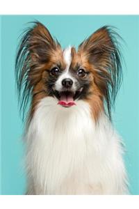 Papillon Notebook