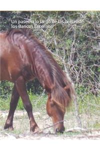 Un paseo a lo largo de las orillas de los Bancos Externos