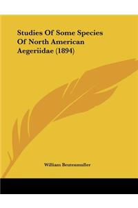 Studies Of Some Species Of North American Aegeriidae (1894)