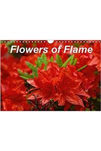 Flowers of Flame 2017