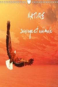 Nature Sauvage Et Animale 2018