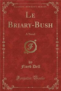 Le Briary-Bush: A Novel (Classic Reprint)