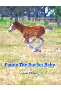 Paddy The Bucket Baby