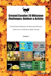 Crested Cavalier 20 Milestone Challenges