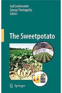 Sweetpotato