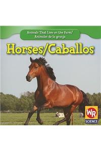 Horses / Los Caballos