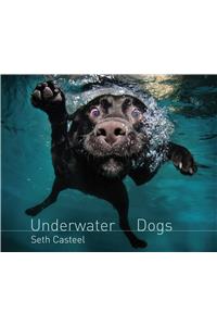 Underwater Dogs