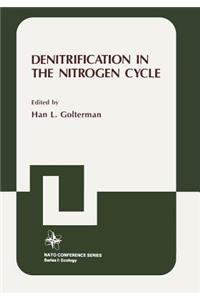 Denitrification in the Nitrogen Cycle