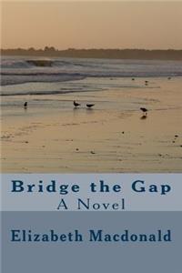 Bridge the Gap