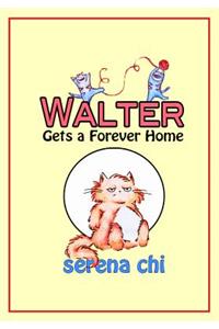 Walter Gets a Forever Home