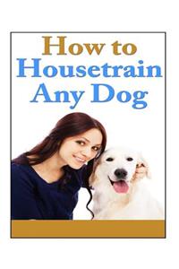 How To Housetrain Any Dog