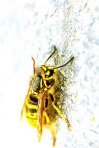 Mind Blowing Tulips With A Card Journal