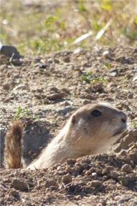 Prairie Dog Journal