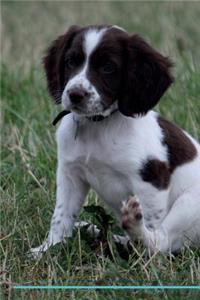 English Springer Spaniel Affirmations Workbook English Springer Spaniel Presents: Positive and Loving Affirmations Workbook. Includes: Mentoring Questions, Guidance, Supporting You.