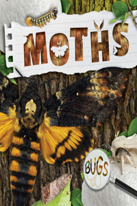 Moths