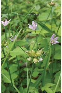Wild Onions