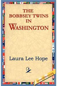 Bobbsey Twins in Washington