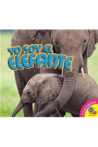 Yo Soy el Elefante, With Code