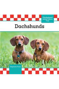 Dachshunds