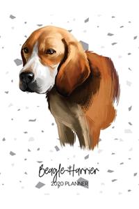 Beagle-Harrier 2020 Planner