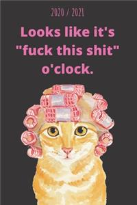 2020 And 2021 Two-Year Daily Planner - Best Gift For Ginger Tabby Cat Owner - Funny Fuck It Quote Appointment Book - Two Year Weekly Agenda Notebook