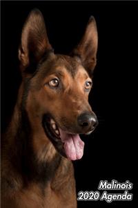 Malinois 2020 Agenda