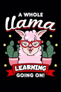 A Whole Llama Learning Going On