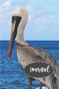 Pelican Journal