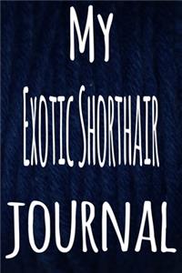 My Exotic Shorthair Journal