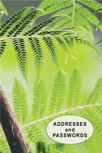 Low Vision Address Book and Password Keeper