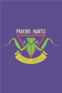 Praying mantis is my spirit animal