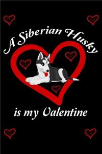 Siberian Husky is My Valentine