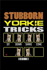 Stubborn Yorkie Tricks