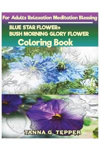 BLUE STAR FLOWER+BUSH MORNING GLORY FLOWER Coloring book for Adults Relaxation