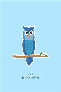 Owl Spelling Practice