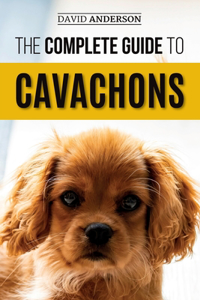 The Complete Guide to Cavachons