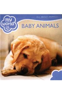 Baby Animals