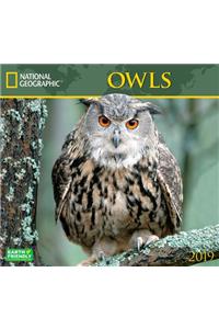 National Geographic Owls 2019 Calendar