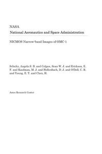 Nicmos Narrow-Band Images of Omc-1