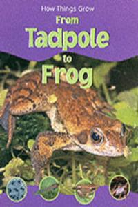 HTG TADPOLE TO FROG