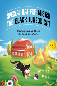 Special Hat for Mister the Black Tuxedo Cat