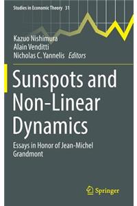 Sunspots and Non-Linear Dynamics