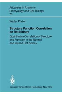 Structure Function Correlation on Rat Kidney